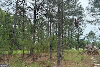 Lot 6 Centerbrook Rd, Vidalia, GA 30474 - photo 2