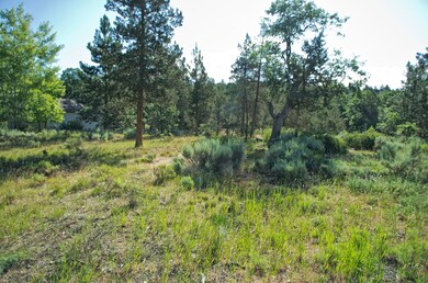 Lot05