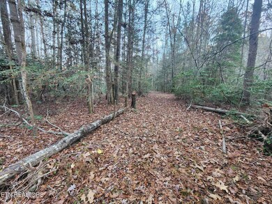 Copperhead Rd pic 12