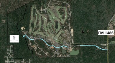 26524 Spy Glass Hill Dr, Montgomery, TX 77356 - photo 4