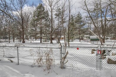 This gate is located at the back of the property, 