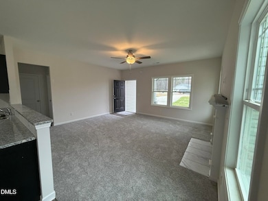 387 Bonsai Way, Four Oaks, NC 27524 - photo 6