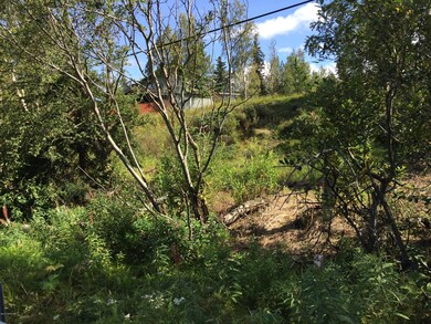 Lot Lower