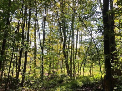 111 Gib Lockerby Rd, Grafton, VT 05146 - photo 3