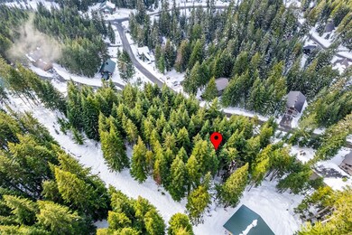 16 Ober Strasse, Snoqualmie Pass, WA 98068 - photo 2