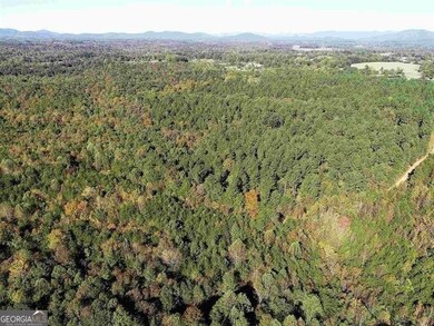 0 Webster Lake Rd unit 10656896, Cleveland, GA 30528 - photo 7