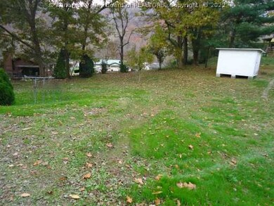 Yard/Garden.