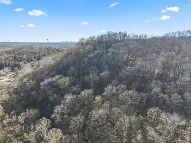 Ariel View