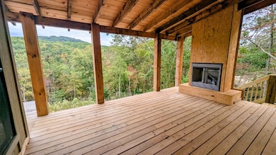 3549 Salem Rd, Mineral Bluff, GA 30559 - photo 4