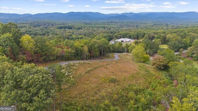 0 Horizon Ridge, Blue Ridge, GA 30513 - photo 6