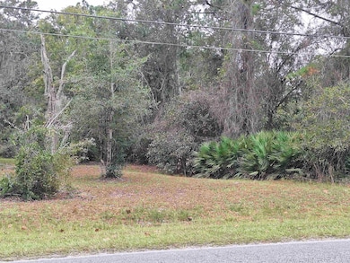 203 Crescent Lake Shore Dr, Crescent City, FL 32112 - photo 5