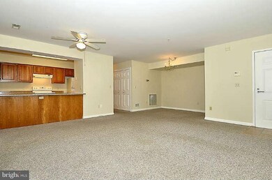 936 Bay Ridge Ave unit 102, Annapolis, MD 21403 - photo 5