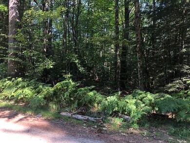 52 Beech River Cir, Center Ossipee, NH 03814 - photo 2