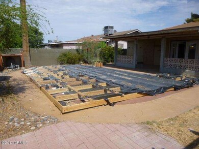 BACKYARD (2)