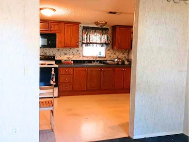 126 W Socrum Loop Rd, Lakeland, FL 33809 - photo 5