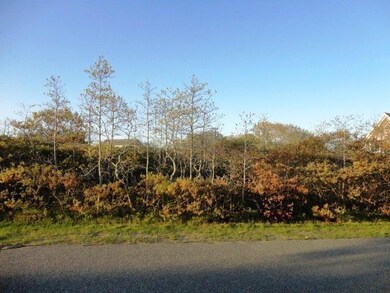 13 Pulpit Ln, Edgartown, MA 02539 - photo 3