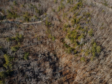 4.78 Ac Bell Ct, Ranger, GA 30701 - photo 3