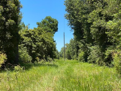 00 Spooner Rd, Lucedale, MS 39452 - photo 6