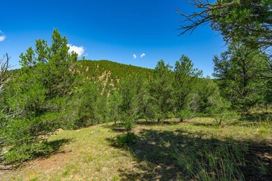 Lot 9 Sundance Rd, Cotopaxi, CO 81223 - photo 6