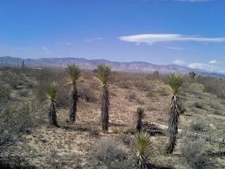 0 Camelot Blvd unit 9989915, Mojave, CA - photo 2