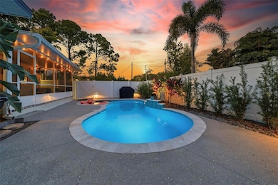 1830 Main St, Safety Harbor, FL 34695 - photo 6