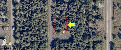 2377 Andros Ave, Palm Bay, FL 32908 - photo 3