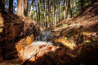 Anderson County Road 445, Brushy Creek, TX 75803 - photo 6