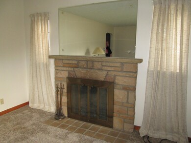 Fireplace in living room