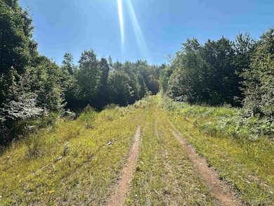 Off Indian Lake Rd, Michigamme, MI 49861 - photo 3