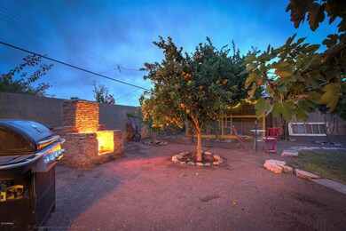 Wood Burning FirePit and BBQ Grill