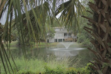 Pond behide home
