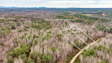 M10L29A4&5 Miller Ln, Surry, ME 04684 - photo 6
