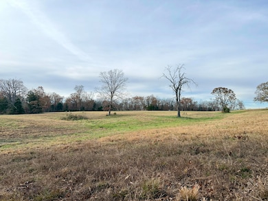 003 E 1650 Rd, Stockton, MO 65785 - photo 6