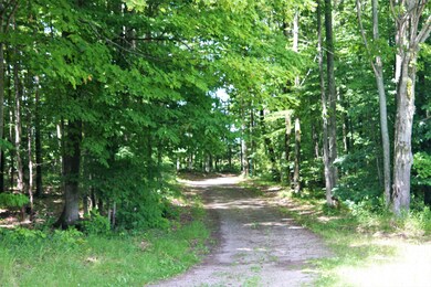 3 Driveway
