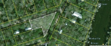 TBD Egret St, Crawfordville, FL 32327 - photo 2