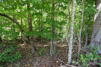 00 Victoria Dr, Marion, NC 28752 - photo 3