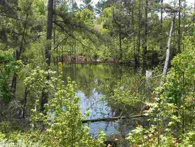 10.57 Acres Hwy 63, Jonesboro, AR 72401 - photo 2