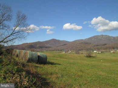 0 Etlan Rd unit 1003267170, Etlan, VA 22719 - photo 5