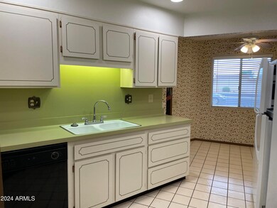 13806 N 110th Ave, Sun City, AZ 85351 - photo 5