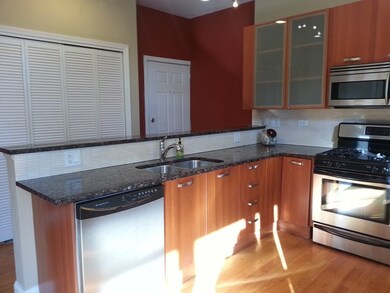 3331 W Schubert Ave unit 2, Chicago, IL 60647 - photo 4