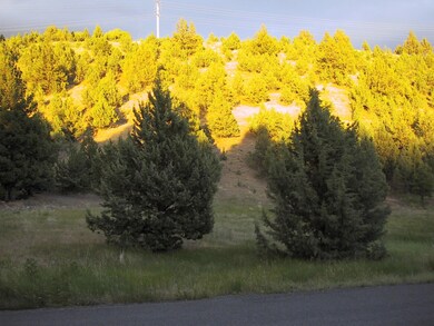 0 Lot 704 Patterson Dr unit 220104618, Canyon City, OR 97820 - photo 3