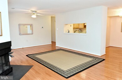 1706 Mount Washington Ct unit D, Baltimore, MD 21209 - photo 3