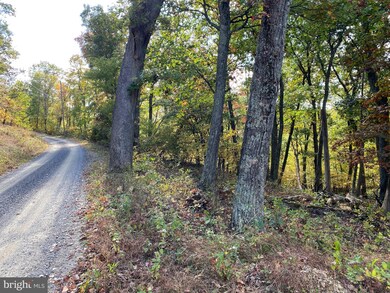 13 High Knob Rd, Old Fields, WV 26845 - photo 6