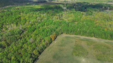 0 Mississippi 9 unit 25-3711, Pontotoc, MS 38863 - photo 6