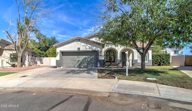 10402 E Javelina Ave-1