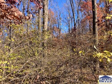 0 S Robinson Place, Sugar Creek Township, IN 47885 - photo 7