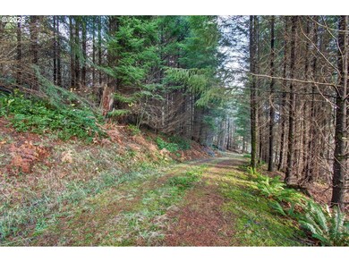 0 Knightsbridge Rd unit 787378359, Ariel, WA 98601 - photo 5