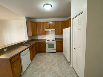 214 Springbrook Trail S, Oswego, IL 60543 - photo 4