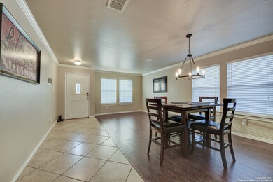 24702 Magnolia Falls, San Antonio, TX 78261 - photo 3
