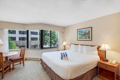 6 Emmons Rd unit 218, Crested Butte, CO 81225 - photo 7